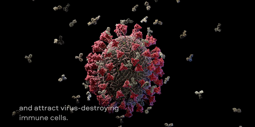 Photo of Le coronavirus est capable de pénétrer dans le cerveau