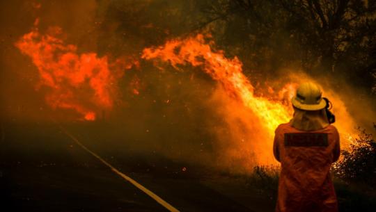 Tunisie : Maîtrise d’un incendie dans la localité d’ El Krib à Siliana