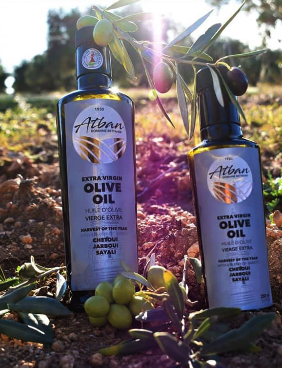 Tunisie : L’huile d’olive de Téboursouk enregistrée en tant qu’appellation d’origine protégée