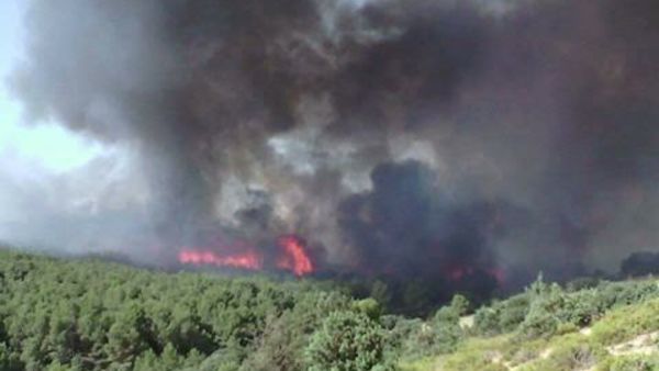 Tunisie: L’armée intervient par voie aérienne pour lutter contre un incendie à Gardiamou