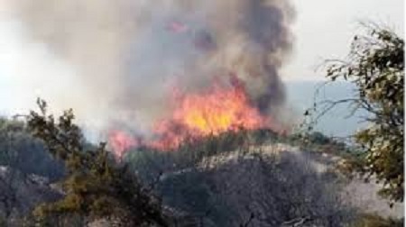 Tunisie: Un incendie sur plus de 20 ha à Jebel Ammar, maîtrisé