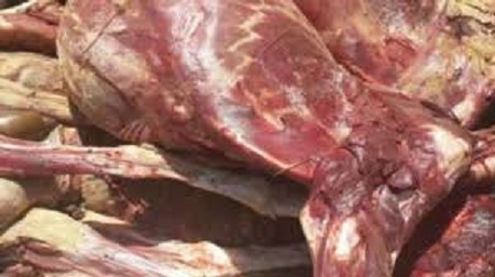 Tunisie: Saisie de 800 kg de viande avariée à Sfax