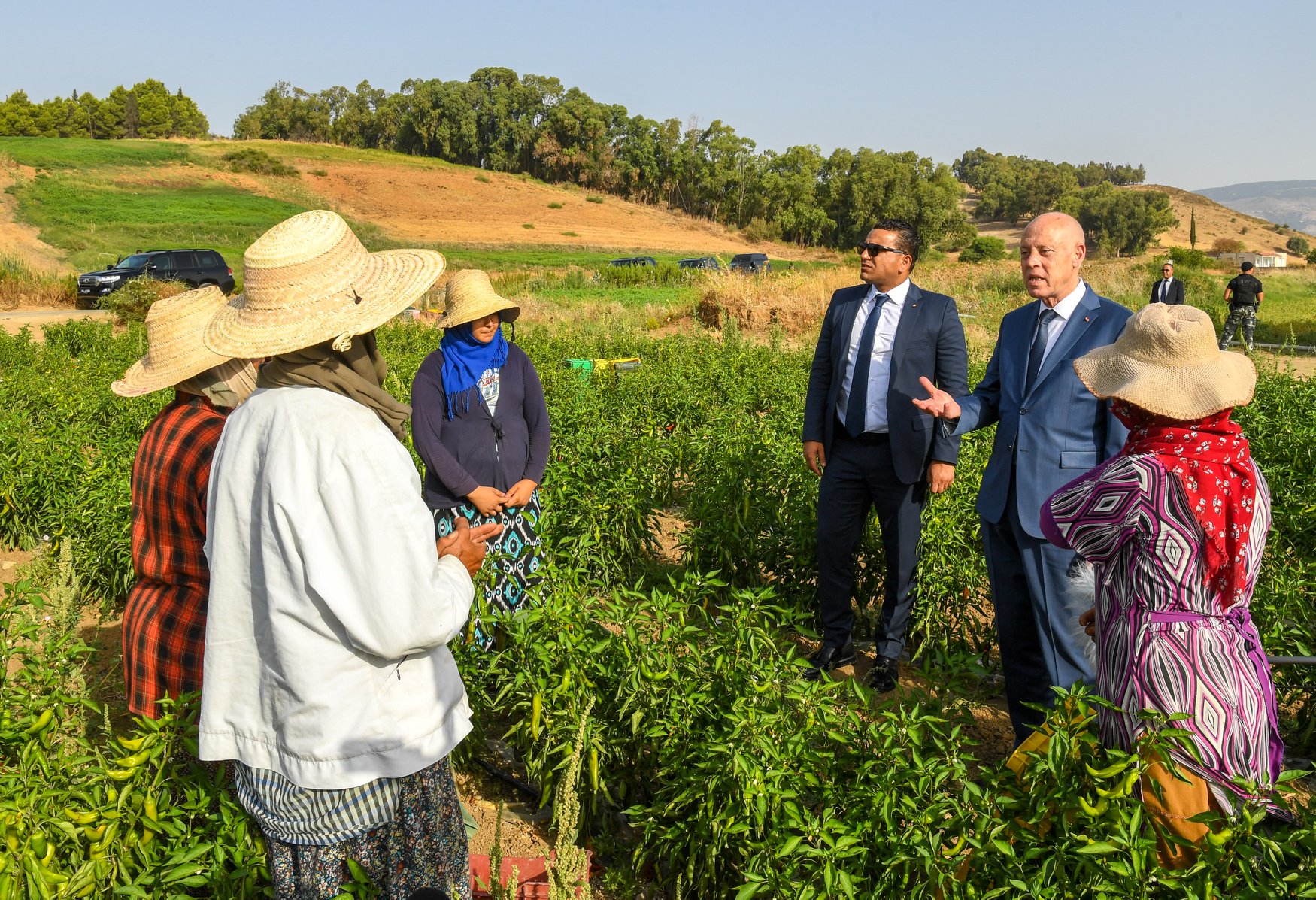 Tunisie : A l’occasion de la fête de la femme, le président de la République rencontre des ouvrières agricoles à Jendouba