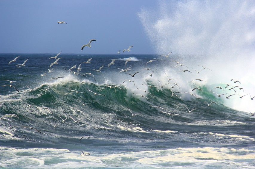 Tunisie: L’INM met en garde contre la baignade en mer dans ces régions