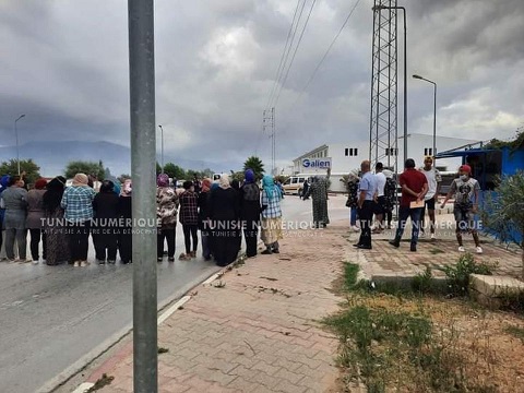 Tunisie [Photos]: Protestations des ouvriers d’une usine après sa fermeture à Tabarka