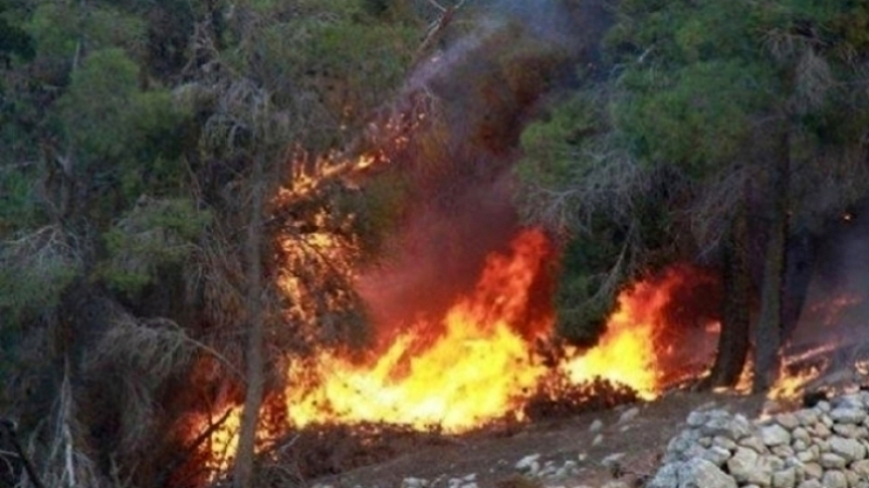 Tunisie: L’incendie au djebel Korbrous maîtrisé