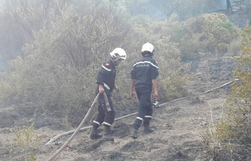 Tunisie: Maîtrise de l’incendie à Jebel Nadhour à Bizerte