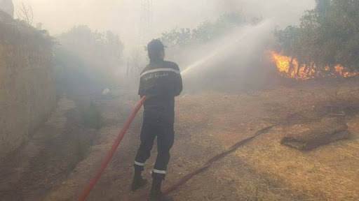 Tunisie: Maîtrise à 90% de l’incendie de la forêt à Douar Menara à Bizerte