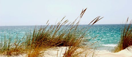 Tunisie – Météo du dimanche : Légère baisse des températures