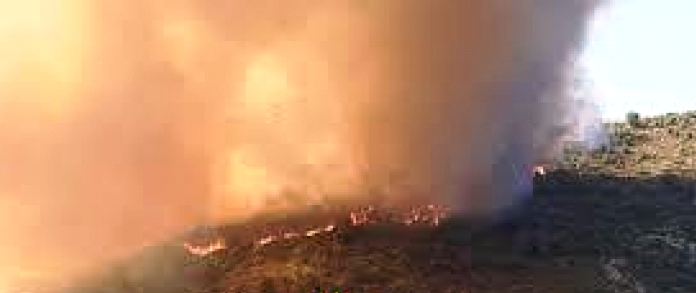 Tunisie – Béja : Deux feux de forêt simultanés à Nefza et Amdoun