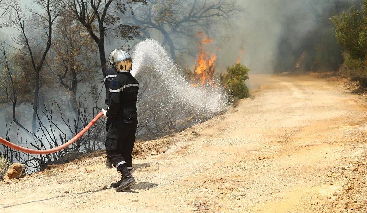 Tunisie: 438 incendies considérés comme criminels ayant ravagé 1958 ha de forêts