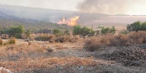 Tunisie: Sept incendies maîtrisés en 48 heures dans le gouvernorat de Bizerte