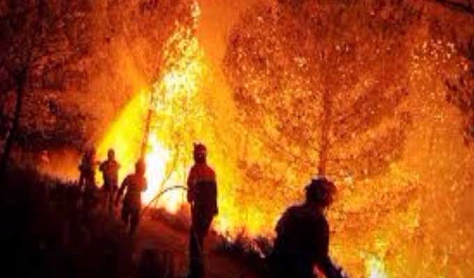 Tunisie: Déclenchement de deux incendies au Kef