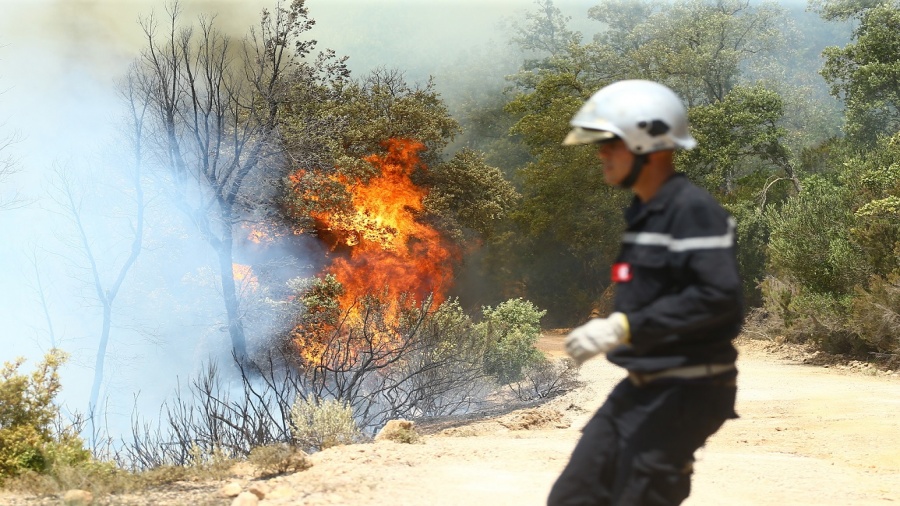 Tunisie: 25 incendies enregistrés durant la première quinzaine d’août à Bizerte