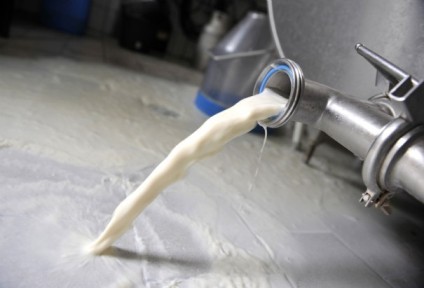 Tunisie: Les laitiers de Béja menacent d’arrêter la production pour réclamer une hausse des prix