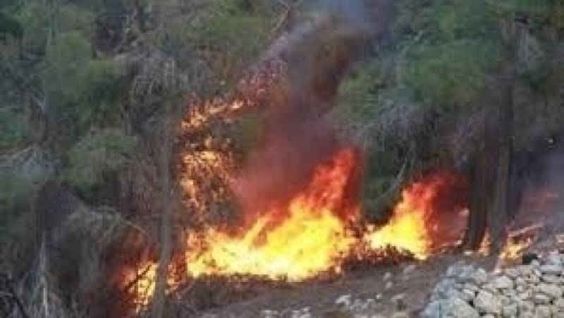 Tunisie: Incendie à Djebel al-Taouel au Kef