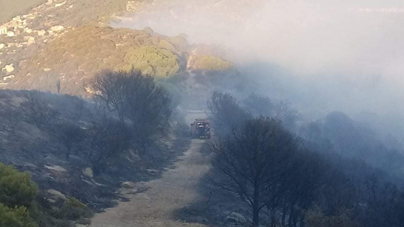 Tunisie: Trois départs de feu au Djebel Nadour en mois de 48 heures