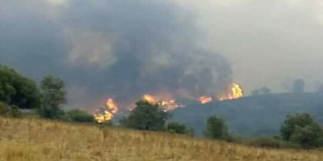 Tunisie: Maîtrise de 85% des neuf incendies à Jendouba