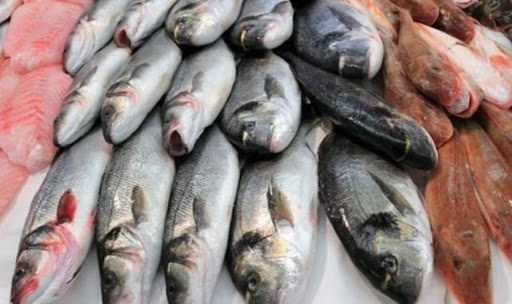 Tunisie: Des poissons d’élevage sur le marché de gros impropres à la consommation, précisions des services vétérinaires