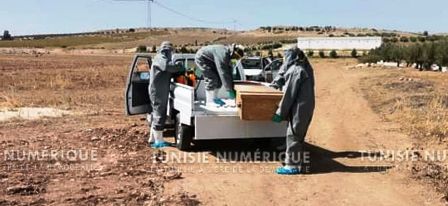 Tunisie – IMAGES : Inhumation d’une victime de la Covid à Téboursouk