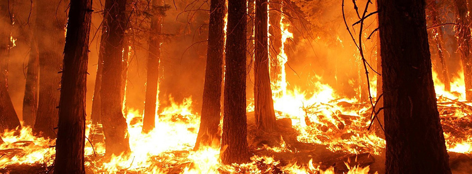 USA : Feux de forêts: au moins 23 morts dans la côte ouest