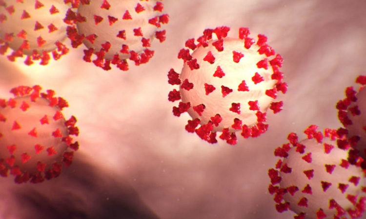 Coronavirus: Nouveaux cas de contamination dans ces régions