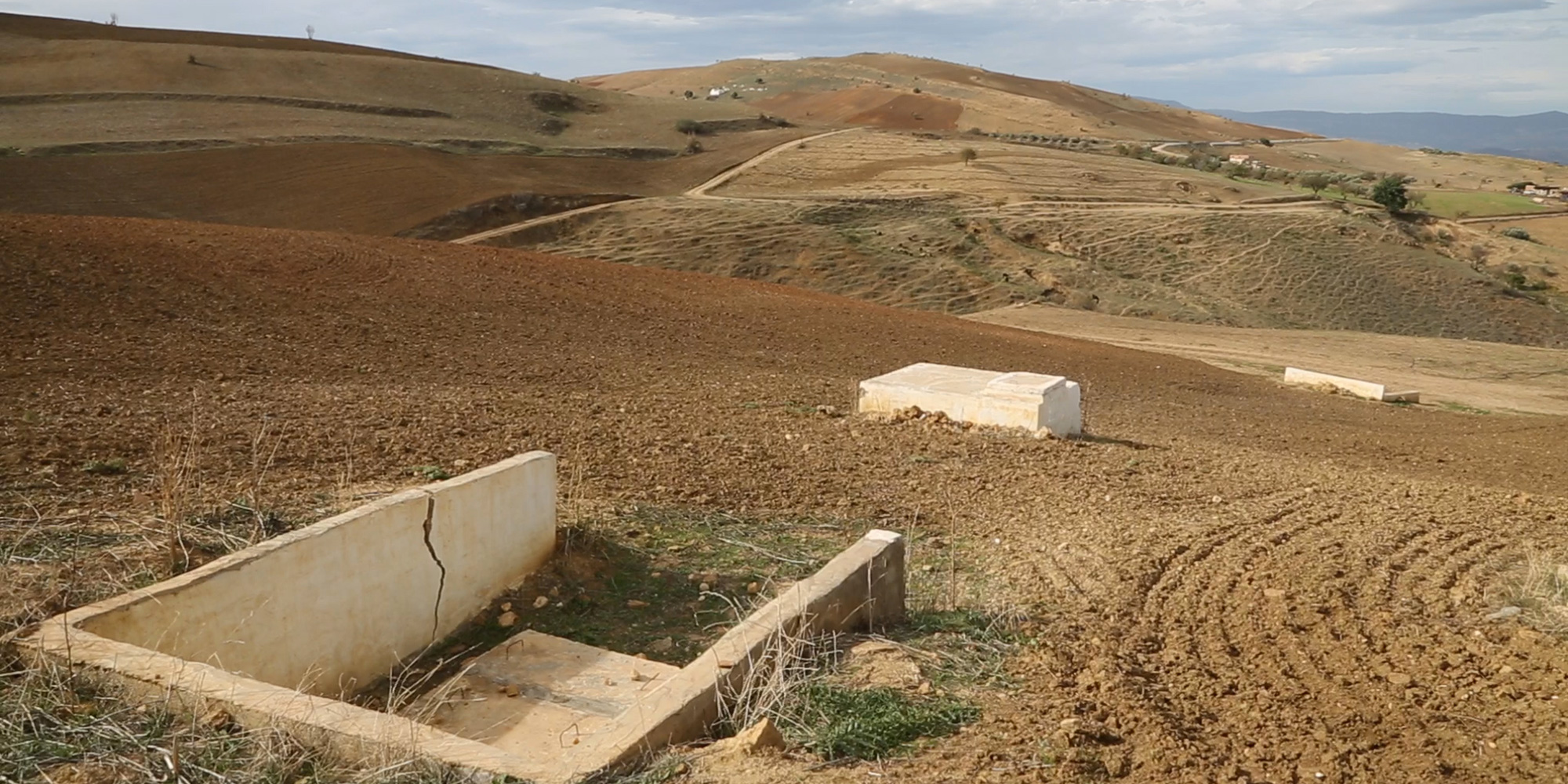 Autorités et union tunisienne de l’agriculture et de la pêche lâchent 1.580 million de petits agriculteurs…