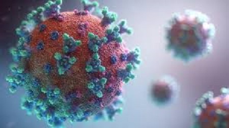 Coronavirus : 26 nouvelles contaminations et 2 nouveaux décès à Sidi Bouzid