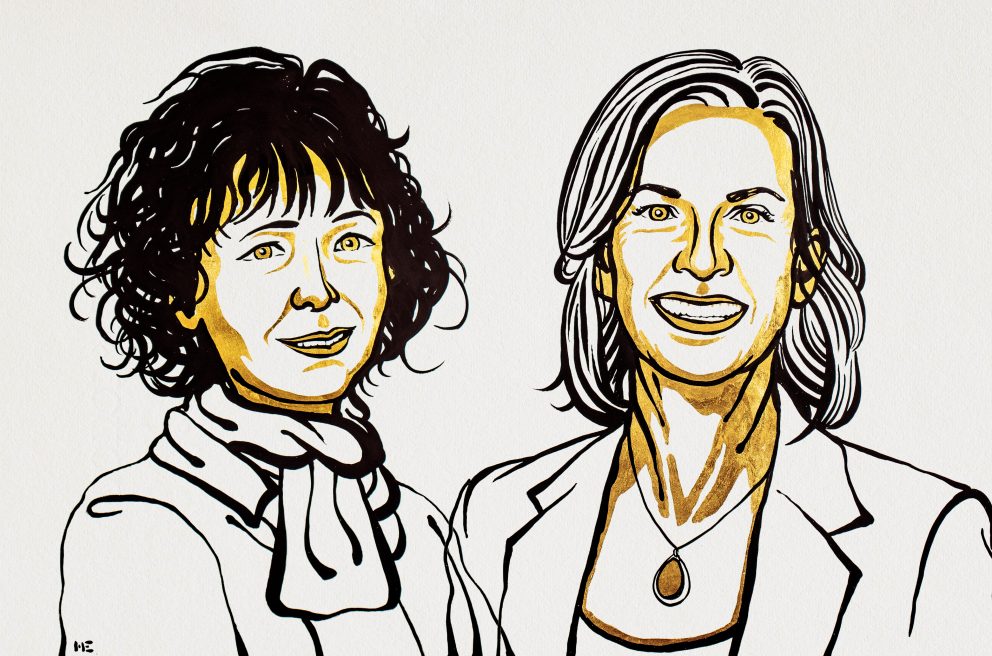 Le prix Nobel de chimie 2020 attribué à deux chercheuses pour leur méthode d’édition des gènes