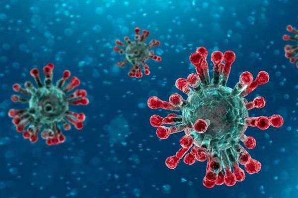 Coronavirus : 112 nouvelles contaminations à Nabeul