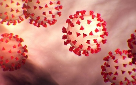 Coronavirus : 23 nouvelles contaminations et un nouveau décès à Médenine