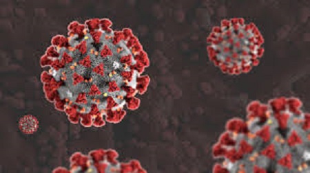 Coronavirus : 13 nouvelles contaminations et 2 nouveaux décès à Jendouba