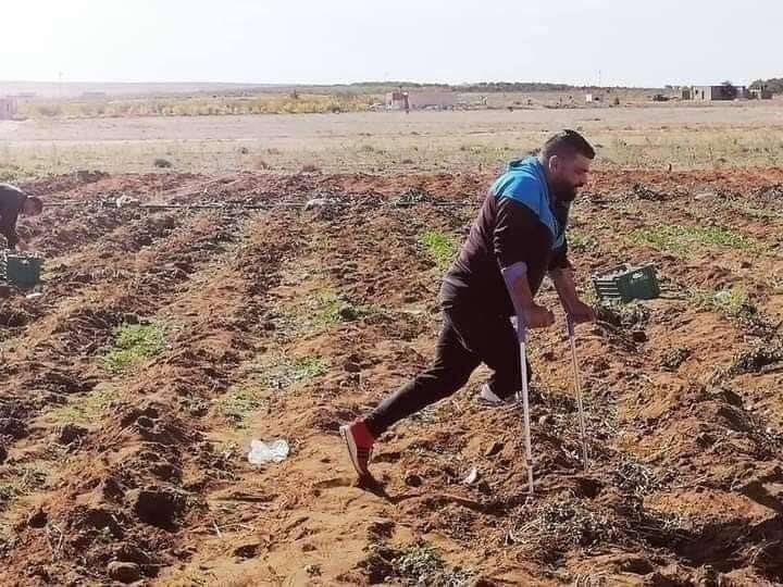 Tunisie_Photo du jour:  Un blessé de la révolution travaille dur dans les champs