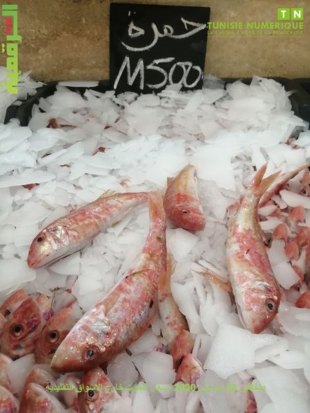 Tunisie: En images, le Marché du poisson Bab Jebli à Sfax