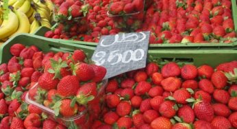 Tunisie: En images, les prix au Souk Bouchouicha Bab Jebli à Sfax