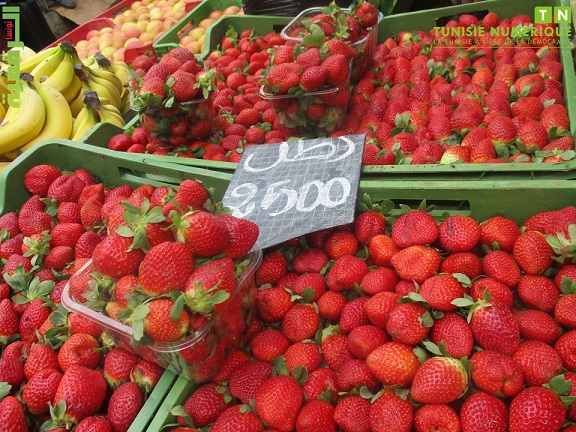 Tunisie: En images, les prix au Souk Bouchouicha Bab Jebli à Sfax