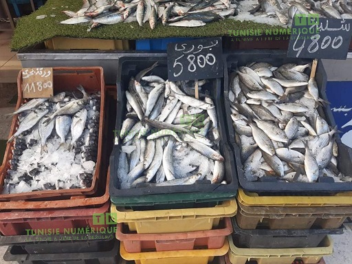 Tunisie: En images, les prix du poisson au Marché de Siliana