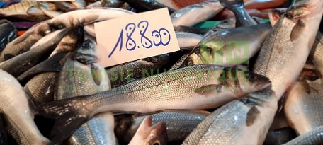 Tunisie: En images, les prix du poisson au Marché de Bizerte