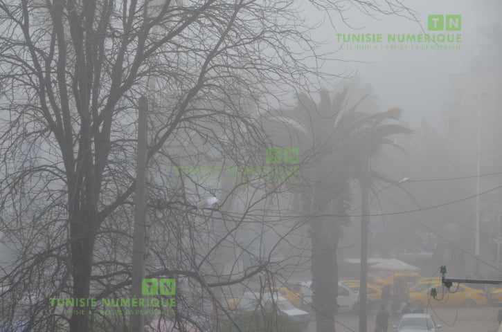 Tunisie: Un épais brouillard couvre la ville de Béja [Photos]