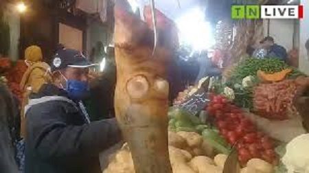 Tunisie [Vidéo]: Prix au Souk Bouchouicha Bab Jebli à Sfax