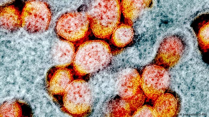 Coronavirus: Le premier pays du Golfe à détecter des infections par la nouvelle souche