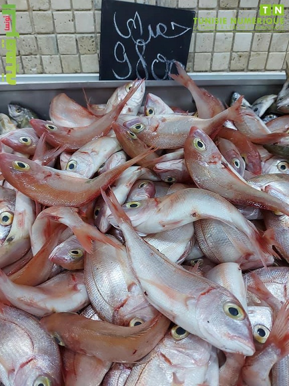 Tunisie: En images, les prix au Marché du poisson à Sfax
