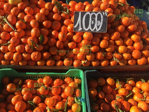 Tunisie: En images, prix au Souk Bab Zenaiez à Béja