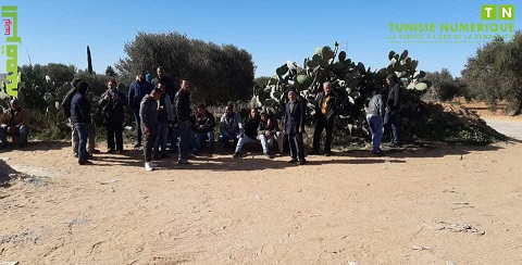 Tunisie: En images, des éleveurs à El Hencha en colère contre la pénurie du fourrage