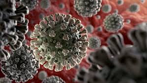 Coronavirus : La situation épidémiologique à Médenine