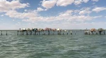 Tunisie [Vidéo]: En direct, en route pour une opération de recensement des oiseaux sur l’île Kneiss à Sfax