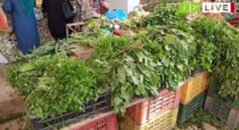 Tunisie [Vidéo]: Prix au Marché central de Gafsa