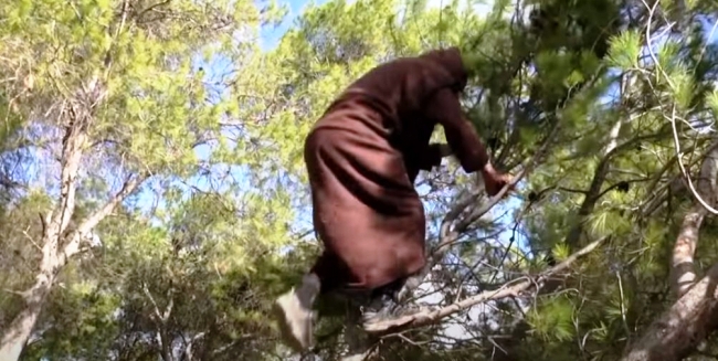 Tunisie – Ghardimaou : Décès d’un élève après une chute d’un arbre de pin d’Alep