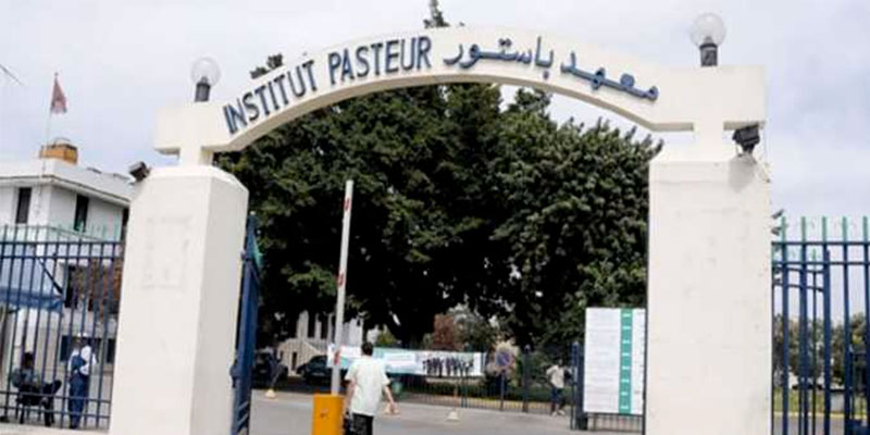 Tunisie-Institut Pasteur : Des agents et cadres contractuels organisent une grève ouverte