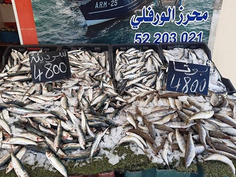 Tunisie: En images, prix du poisson au marché de Siliana